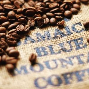 Blue Mountain Coffee